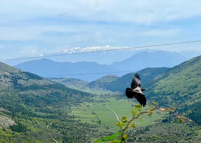 Gasthof Domus Quattro Cantoni LʼAquila