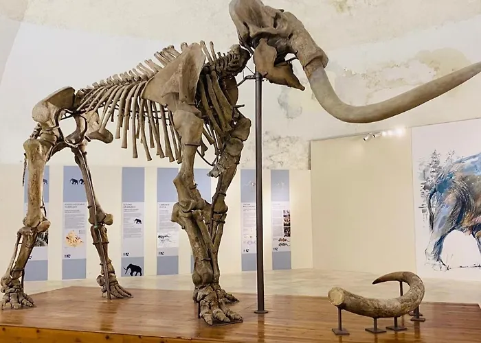 Gasthof Domus Quattro Cantoni LʼAquila